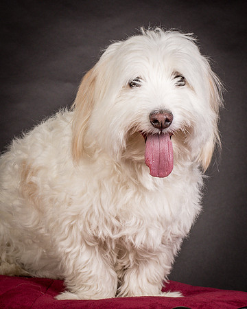 Foster Frosty-0585