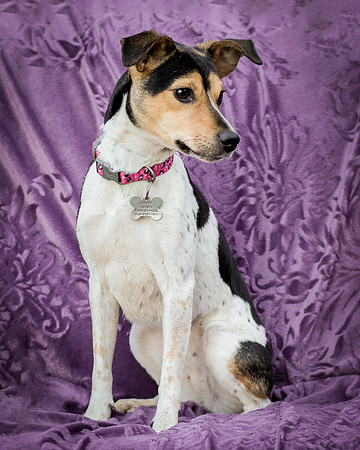 Foster Buffy-5634