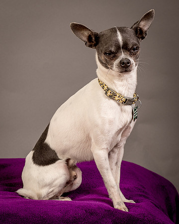 Foster Wesley-4923