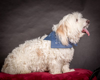 Foster Frosty-0545
