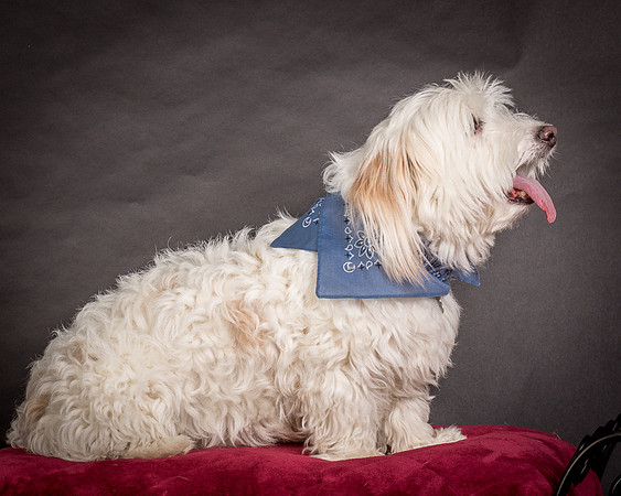 Foster Frosty-0545