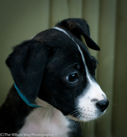 Foster Bennett-3864