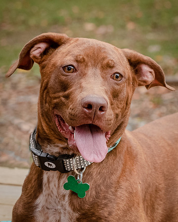 Foster Caitlyn4839