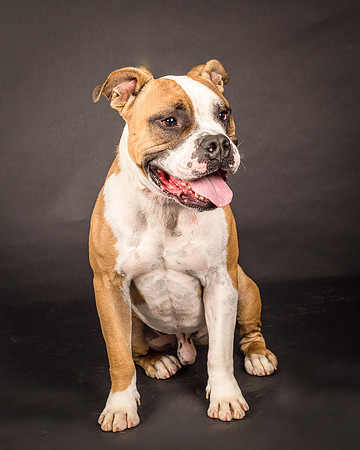 Foster Dexter-2163