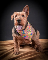 Katie-5304