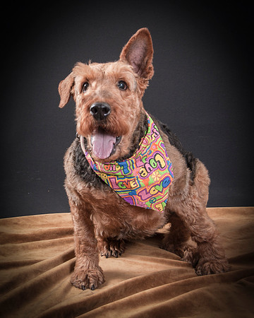 Katie-5304