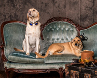 12. Newton - Angus & Abbey
