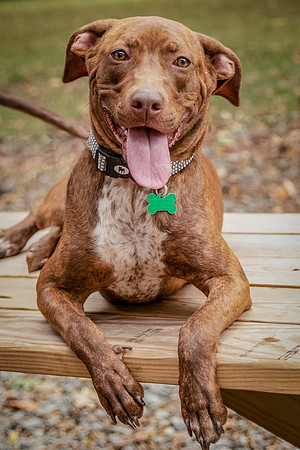 Foster Caitlyn4847