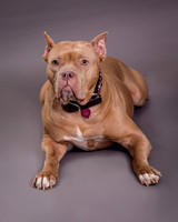 Maggie Griner-7522