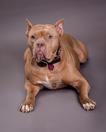 Maggie Griner-7522