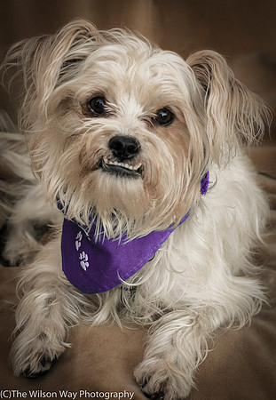 Foster Ricky-9038