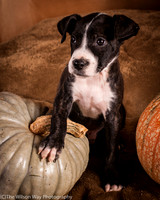 Foster Bennett-6361