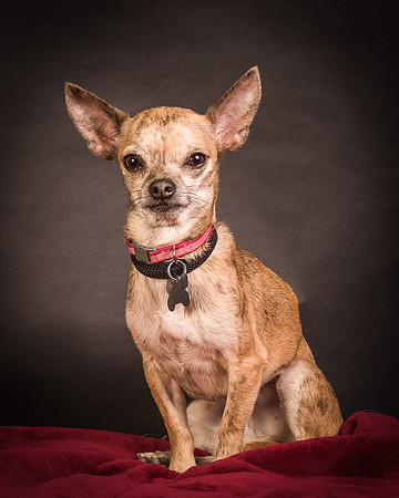 Foster Selina-1101