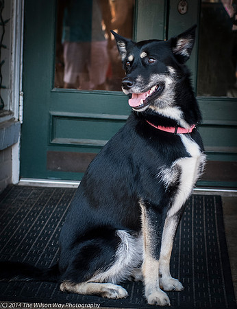Foster Mala-9468