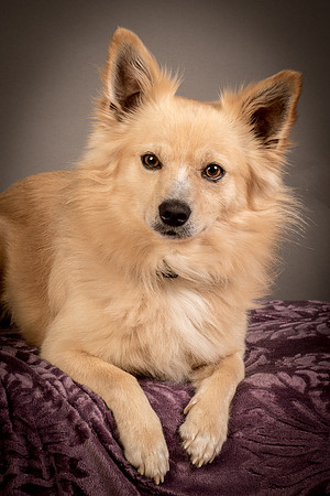Foster Sergio-8051