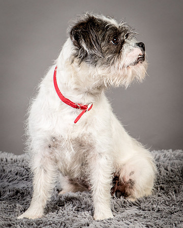 Foster Leeza-2661