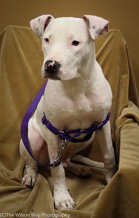 Foster Curt-0590