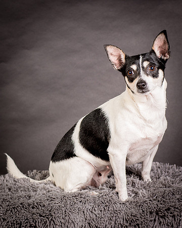 Foster Richa-0458