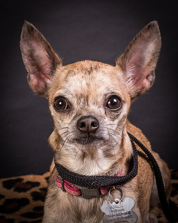 Foster Selina-1216