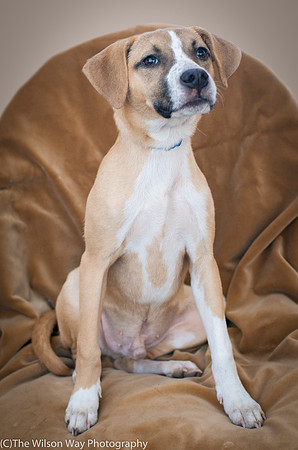 Foster Curly-8874