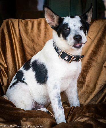 Foster Oliver-8934