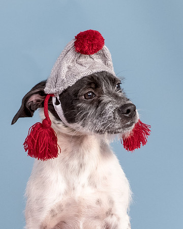 Foster Billie-8245