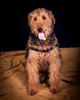 Dixie Lou-5640