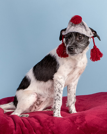 Foster Billie-8237