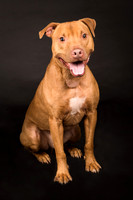 Foster Pablo-1944