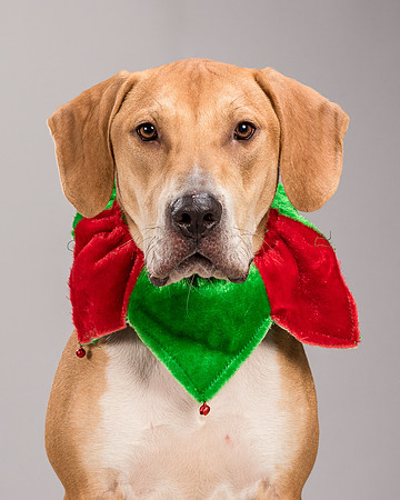 Foster Troy-6287