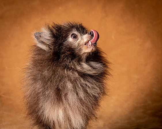 Foster Loretta-1299