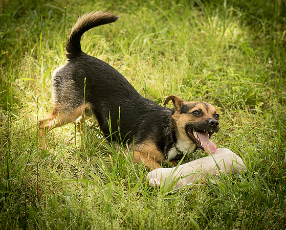 Foster Calvin-0968