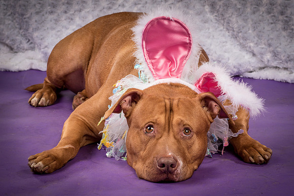 Bishop-3644
