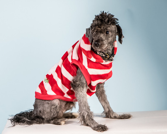 Foster Oakland-5563