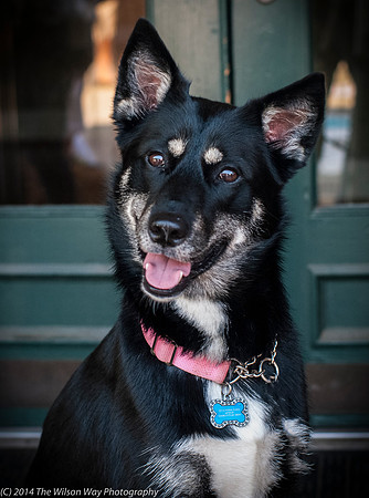 Foster Mala-9480