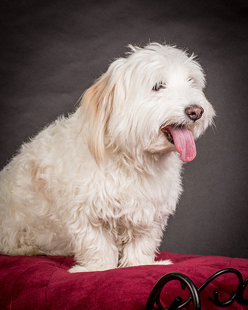 Foster Frosty-0584