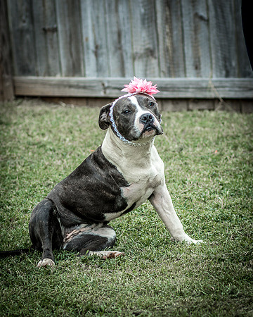 Foster Maya-0350
