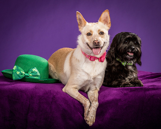 Henry and Maggie-1237