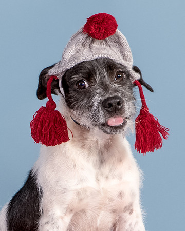 Foster Billie-8251