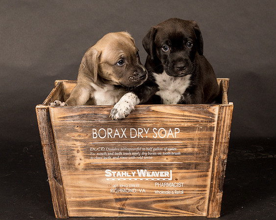 Fosters Pebbles and Gazoo-1725