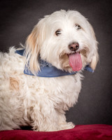 Foster Frosty-0551