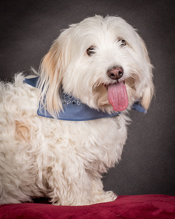 Foster Frosty-0551