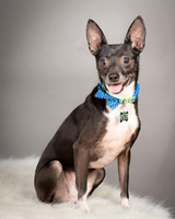 Foster Luc-5054