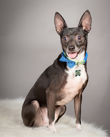 Foster Luc-5054