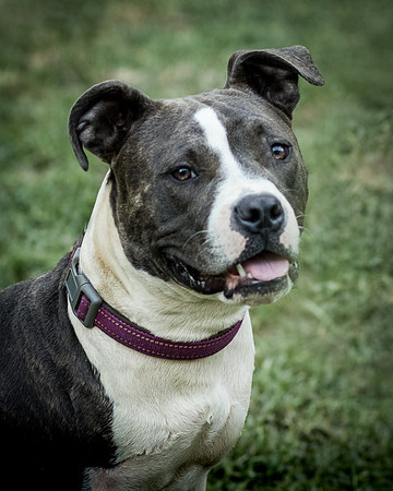 Foster Maya-0223