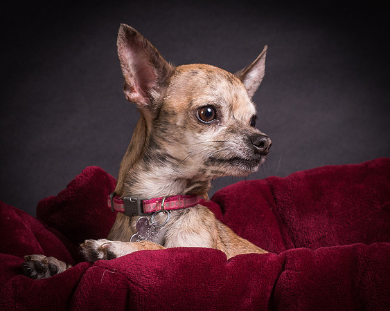 Foster Selina-1126