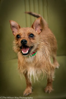 Foster Harry-3617