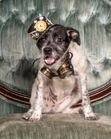 Foster Billie-8134