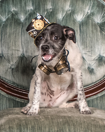 Foster Billie-8134