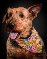 Katie-5298